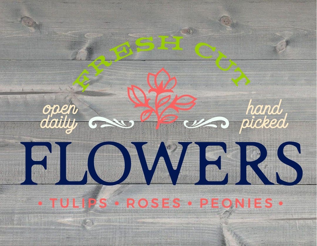 Fresh Cut Flowers open daily - NOCO