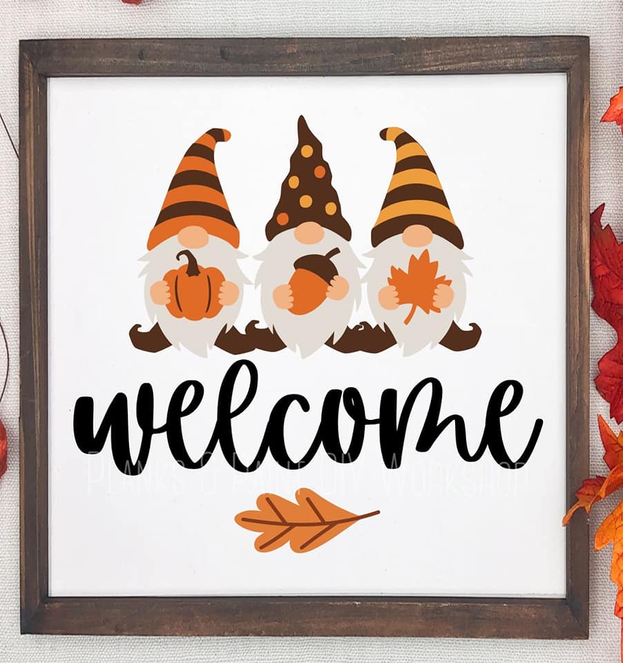 Welcome Gnomes