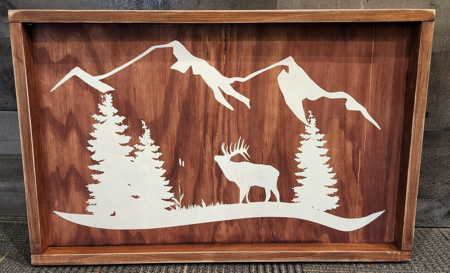 Mountain Elk - NoCo