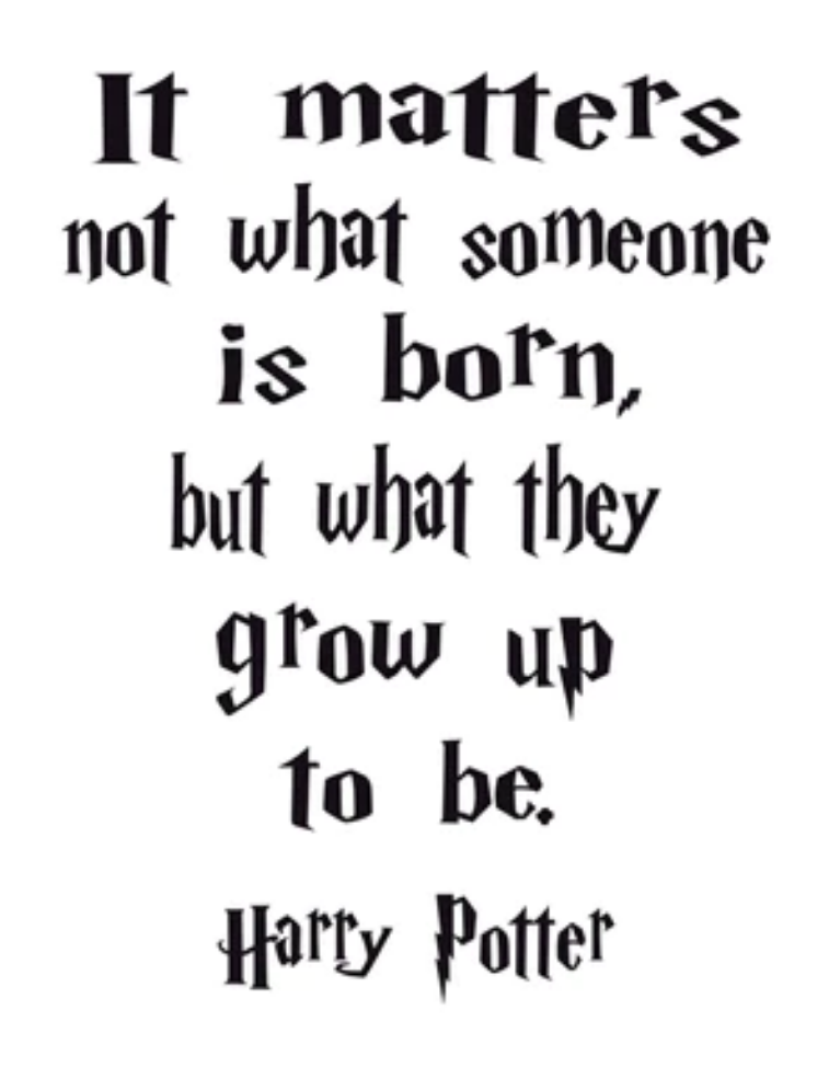 Harry Potter's Birthday Bash - July 29th @ 12pm (All Ages)