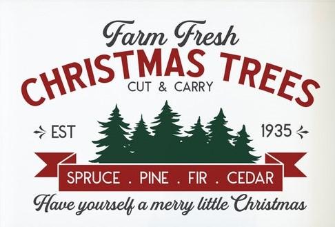 Winter/Christmas Designs