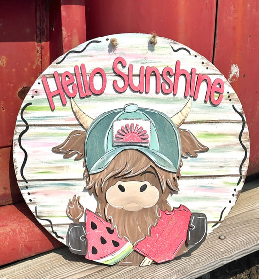 Hello Sunshine 22" 3D