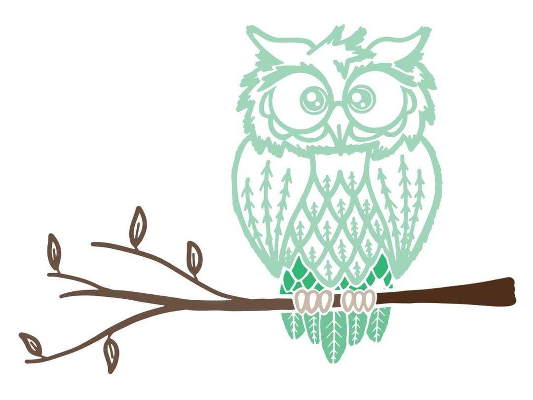 Owl on Branch Youth - NOCO